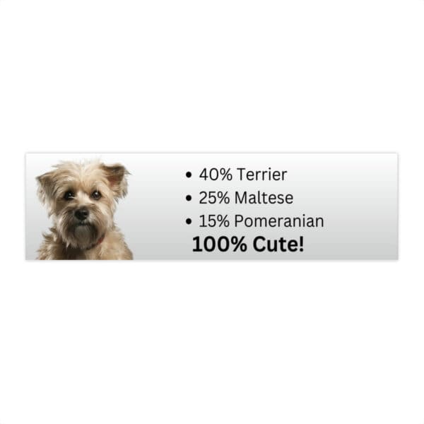 Terrier Mix - Bumper Sticker